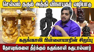 Negative  அ Handle பண்ணா தோஷங்கள் தேடி வரும் harikesanallurvenkatraman karungali vinayaka [upl. by Lust]