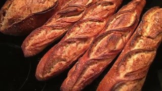 Baking Jeffrey Hamelmans Pain au Levain w mixed levains [upl. by Cornish276]