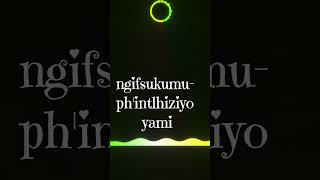 Mjolisi ft Mnqobi Yazo  My Dululu lyrics [upl. by Amek910]