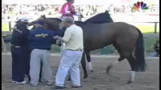 Barbaro Injury Preakness Stakes May 20 2006 [upl. by Yekcin]