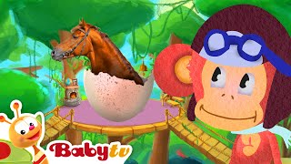 Lion  Le roi des animaux 🦁  Apprendsen sur les animaux sauvages pour enfants BabyTVFR [upl. by Einram]