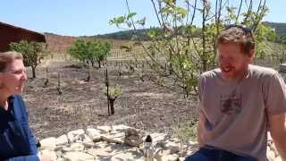 Tablas Creek with Jason Haas on BioDynamics in Wine [upl. by Meihar225]