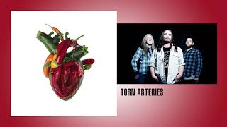 Carcass UK  Torn Arteries Full Album 2021 [upl. by Holt]