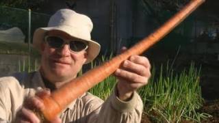 Worlds Longest Carrot [upl. by Canica]