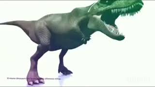 Random TRex with sunglasses dancing to Im blue daba dee daba die by Eiffel 65 [upl. by Sido]