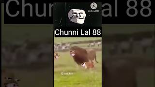 Chunni Lal Part 3 chunni comedi 0 funny 0 memes [upl. by Tegirb]