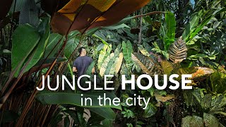 Inside a DIY Jungle Garden amp Artfilled Home  Garden Design Tips ft Journey Through Paradise [upl. by Enneirdna]