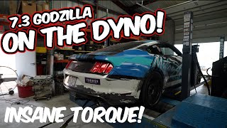 73 Godzilla S550 Mustang  First Drive amp DYNO [upl. by Meredi218]