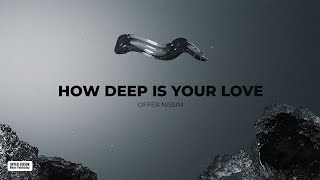 Offer Nissim  How Deep Is Your Love [upl. by Lougheed147]