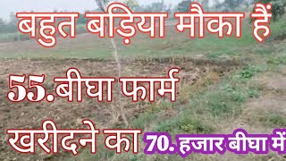 55बीघा गाँव से लगा फार्म बिकाऊ हैं कीमत 70 हजार पर बीघा में agriculture land for salesasti jameen [upl. by Spoor889]