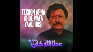 Tekoon Apna Ahde Wafa Yaad Hosi [upl. by Aubree318]