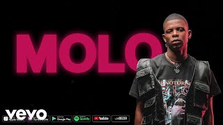 Aubrey Qwana  Molo Official Lyric Video [upl. by Millie495]