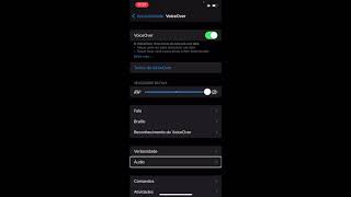 Demonstração leitor de telas VoiceOver iPhone iOS14 [upl. by Reitman399]