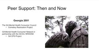 NAPS Webinar 30 – Peer Support – Then and Now [upl. by Naic]