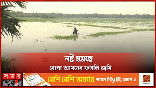 চাঁদপুর সেচপ্রকল্প বাঁধের ১০০ কিমি এর জলাবদ্ধতা কাটেনি  Chandpur Irrigation Project Dam  Waterlog [upl. by Liatrice663]