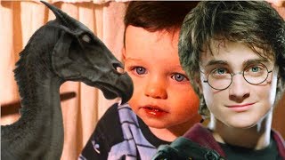 How Come Harry Couldnt See Thestrals Since He Was A Baby [upl. by Adnac]