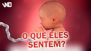 6 Coisas que o bebê SENTE enquanto está DENTRO DA MÃE  LNO TV [upl. by Izzy702]