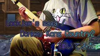 Lockjaws saga  Donkey Kong Country2 弾いてみた【最終兵器菊地】 [upl. by Nosned]