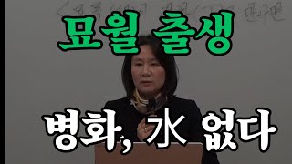 묘월 출생 병화 있으면 水가 없다면 자막을 켜고 보세요 [upl. by Ahsiel]