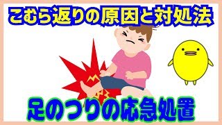 【足がつる理由】こむら返りの原因と対処法タイプ別3選【応急処置】 [upl. by Cornall]