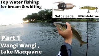 Part 1  top water bream and whiting  Wangi Wangi  NSW Australia [upl. by Aciamaj30]