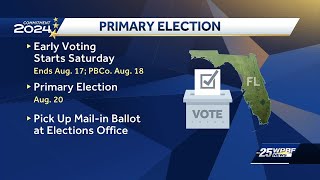 Early voting for primary election in South Florida What you need to know [upl. by Introc708]