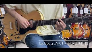 Rozeo Ladybug LACTM SFMTB DHB LAST GUITAR [upl. by Elleivad]