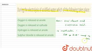 During the electrolysis of acidified water which of the following takes place   10  SELF ASSE [upl. by Prussian]