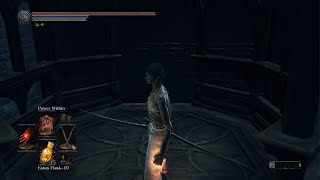 Lothric amp Lorian the Twin Princes  Ng4  No Hits Taken [upl. by Ientirb768]