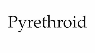 How to Pronounce Pyrethroid [upl. by Narej318]