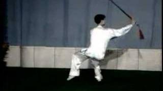 Tai Chi Sword 32 Positions [upl. by Acirdna452]