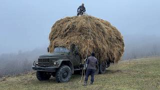 Hard Hand work in Mountains Harvesting Tons of Hay and Making Rural Cheese [upl. by Nomael]