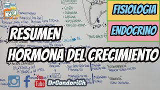 RESUMEN Hormona del Crecimiento [upl. by Hakeem]