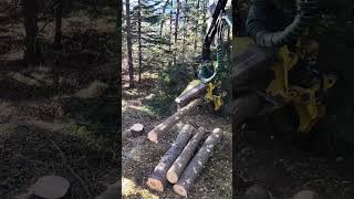 John Deere 1270G in Action  Precision Forest Management 🌲 [upl. by Am]