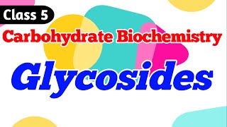 Glycosides  What are Glycosides Carbohydrate Biochemistry Class 5 [upl. by Aidekal]