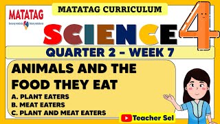 SCIENCE 4 QUARTER 2 WEEK 7 MATATAG  ANIMALS AND THE FOOD THEY EAT [upl. by Eustacia955]