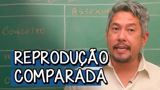 O que é Reprodução Comparada  Extensivo Biologia  Descomplica [upl. by Weingartner]