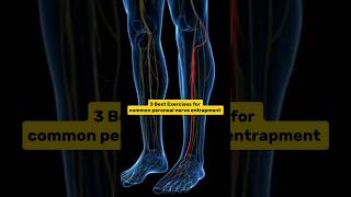 Best exercises for lower leg pain and numbnesscalf muscle paincommon peroneal nerve entrapment [upl. by Sydel844]