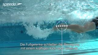 Richtig Schmetterlingschwimmen  Beinschlag [upl. by Breger]