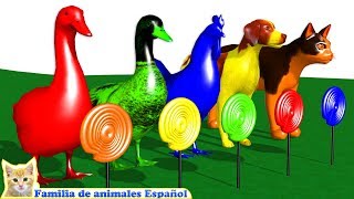 aprender colores aprender animales de granja comer dulce dibujos animados para niños [upl. by Olympe]