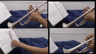 Attack On Titan Op 3  Shinzou Wo Sasageyo 心臓を捧げよ Trumpet Cover [upl. by Ennirak]