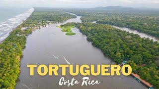 WHAT TO DO IN Tortuguero National Park Costa Rica Wildlife travel vlog 4K [upl. by Arria]