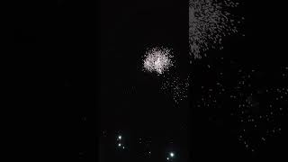 Silvester Vorfreude 2024 Video 8 shorts shortvideo fireworks pyro feuerwerk [upl. by Ayikur]