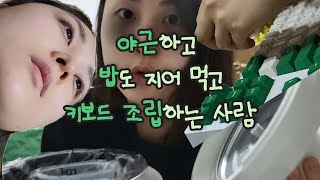 알찬 직장인vlog  오테뷰라임v2 키보드스위치 교체  라따뚜이 만들기  자취1인밥솥 구매 [upl. by Steck]