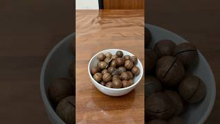 MACADAMIA IN SHELL VANILLA FLAVOURshortvideo [upl. by Intruoc]