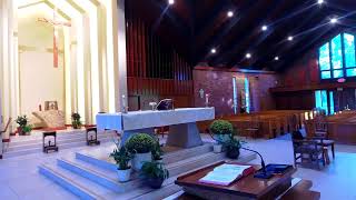 St Raymond Menlo Park Live Stream [upl. by Aniras367]