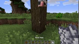 HarvestCraft 1710 Tutorials  Temperate Fruit Trees [upl. by Laux]