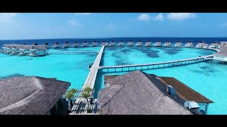 Centara Grand Island Resort amp Spa Maldives [upl. by Waynant]