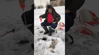 KILLER FISH 007  TAGANKA 2023  snow bigcarp winter bigcarpfish fishing commoncarp carp [upl. by Ottinger316]