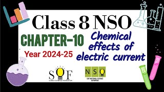 NSO Class 8  Chapter 10  Chemical Effects of Electric Current  science olympiad for grade 8 [upl. by Calan]